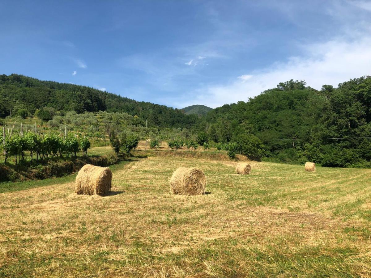 Lunigiana Experience Apartment ปอนเตรโมลิ ภายนอก รูปภาพ